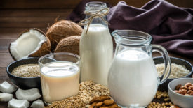 Dairy milk and alternatives 