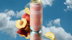 Jiant Hard Kombucha