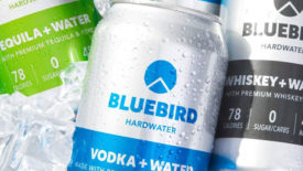 Bluebird Hardwater Cans on Ice