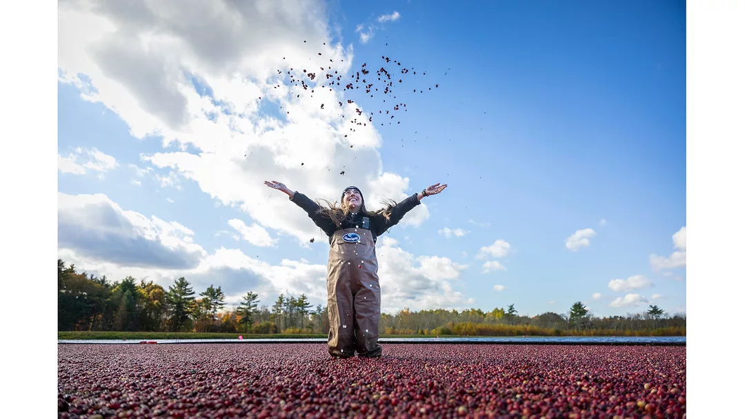 a cranberry bog during a wet harvest. 