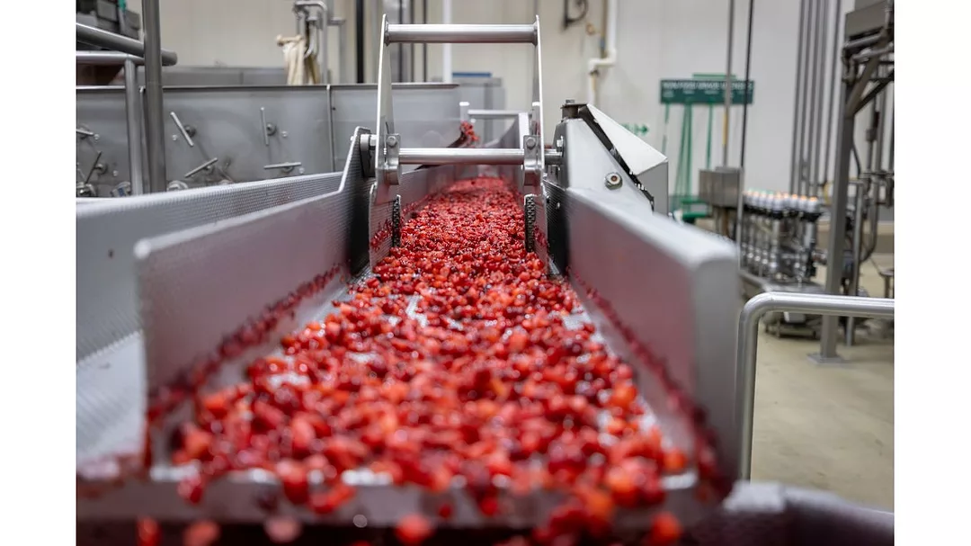 a cranberry harvesting machine