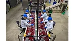 workers sorting cherries at a packing facility. 