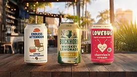 a lineup of ready-to-drink (RTD) canned cocktails