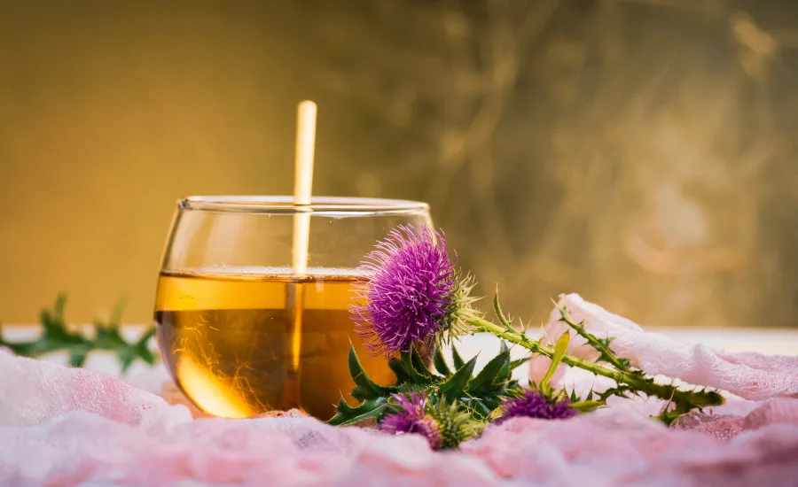 a glass of herbal tea next to a vibrant purple milk thistle